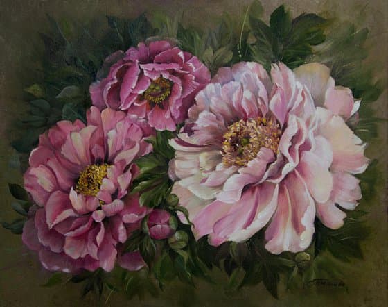 Peonies